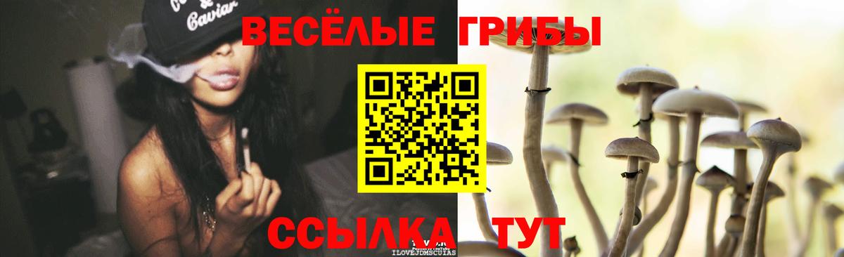 Псилоцибиновые грибы GOLDEN TEACHER  Галлюциногенные грибы прущие грибы  Вход с VPN  купить   Ханты-Мансийск 